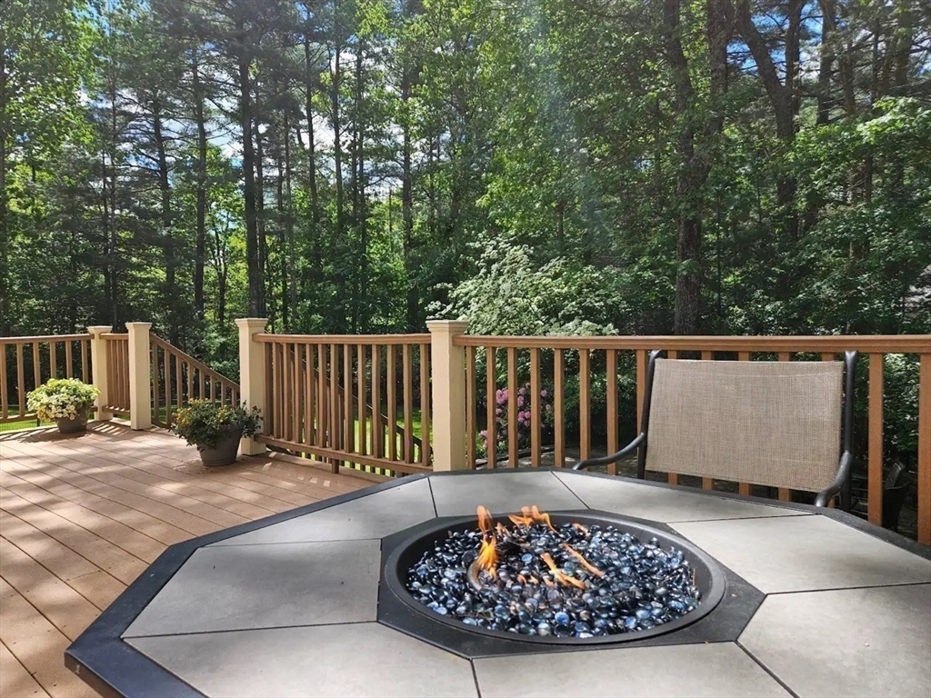 1 Chestnut Lane Medfield, MA 02052 - Photo 38 of 42 a view of a back yard