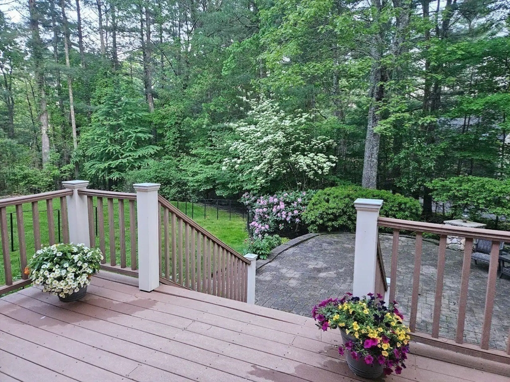 1 Chestnut Lane Medfield, MA 02052 - Photo 39 of 42 a view of a garden with potted plants