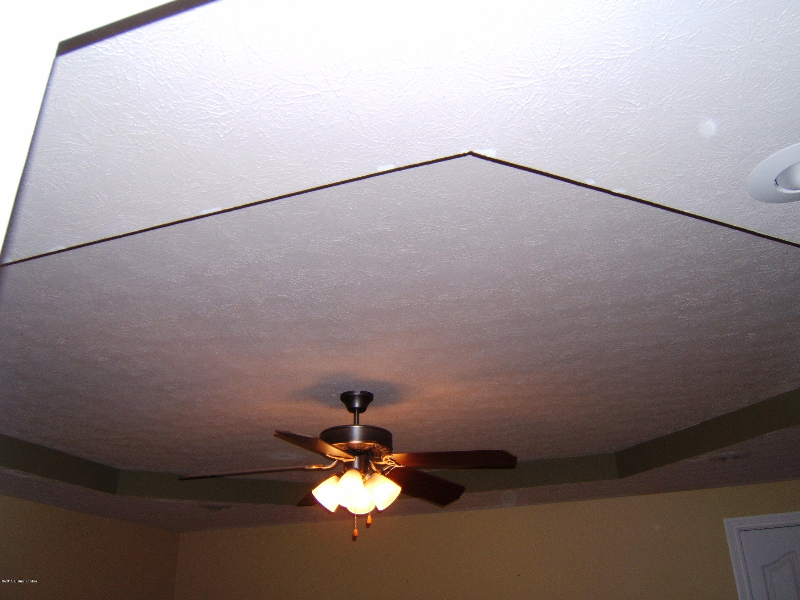 115 Rolling Ridge Court Brandenburg, KY 40108 - Photo 14 of 26 DSCF1441