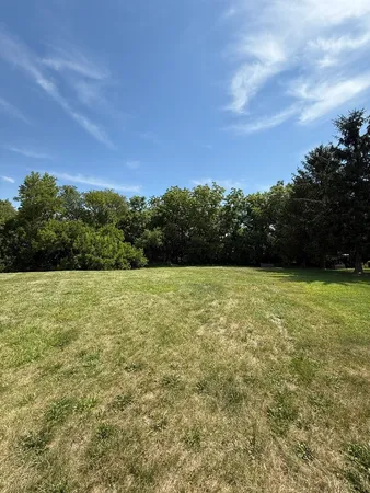 a view of outdoor space and yard