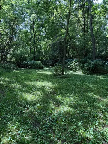 a view of a grassy field with trees in the background