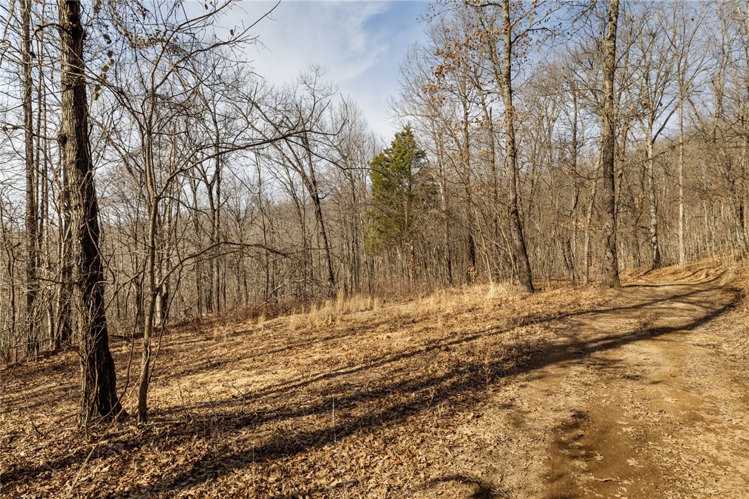 10557 North Devils Den Road Winslow, AR 72959 - Photo 50 of 60 View of woods