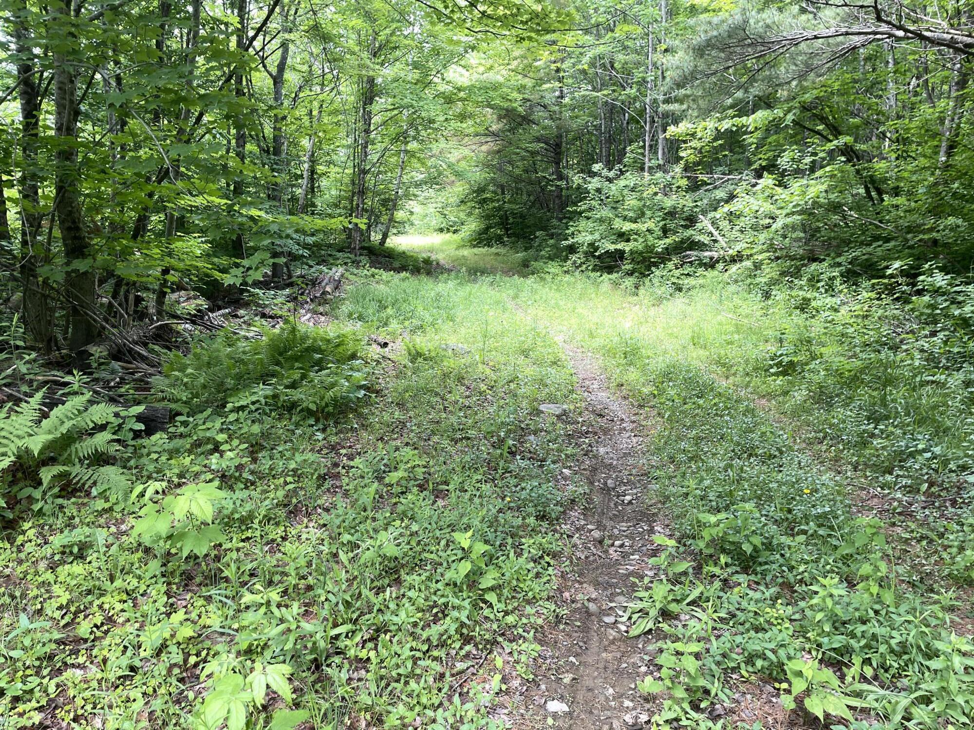 # Huff Corner Road Wellington, ME 04942 - Photo 2 of 7 IMG_2635