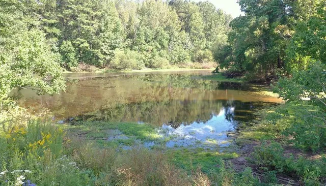 $132,000 | 1148 Morgantown Road, McComb, MS 39648