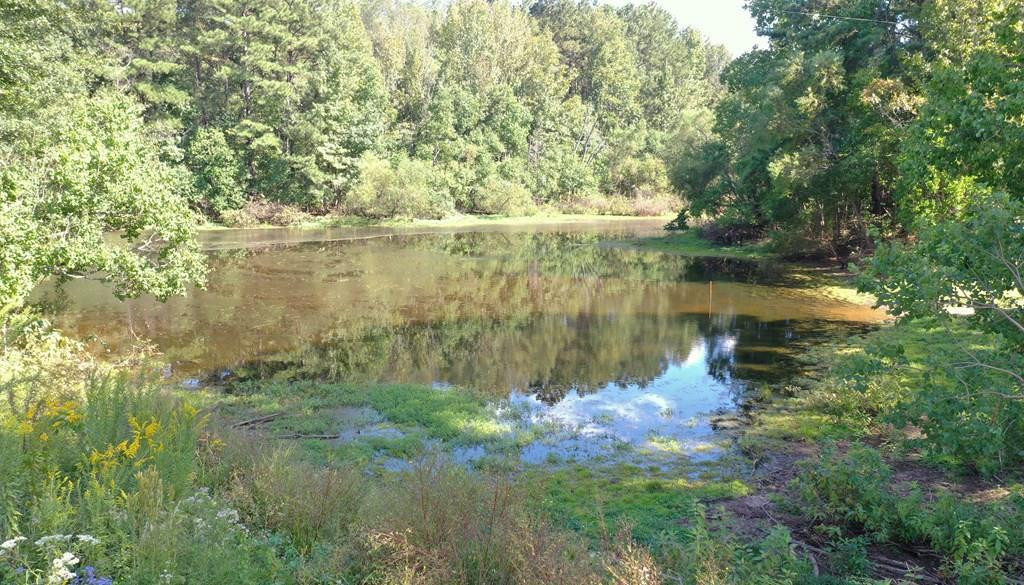 1148 Morgantown Road McComb, MS 39648 - Photo 2 of 22 Photo 2