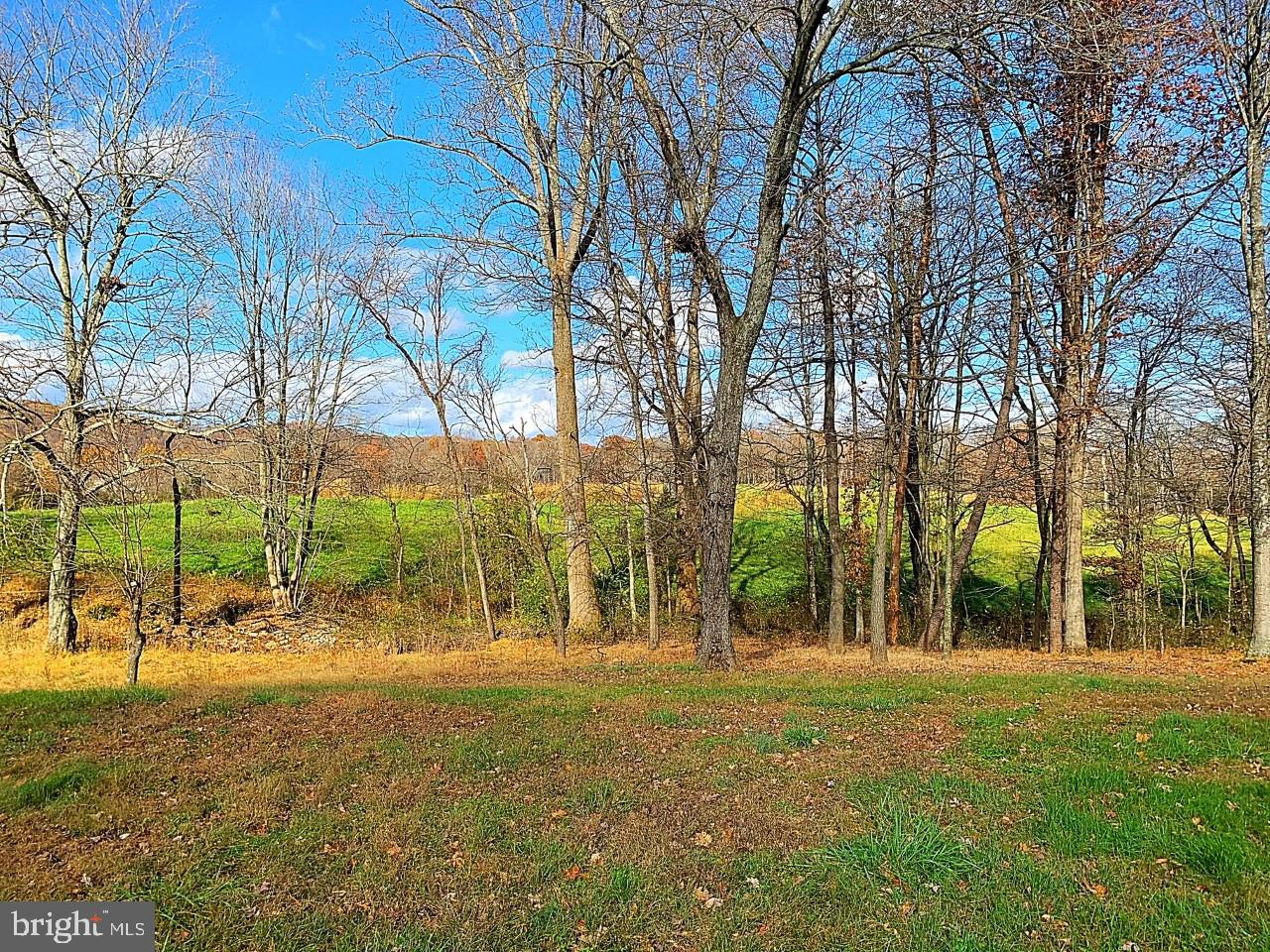 12233 Grindstone Road Boston, VA 22713 - Photo 24 of 26