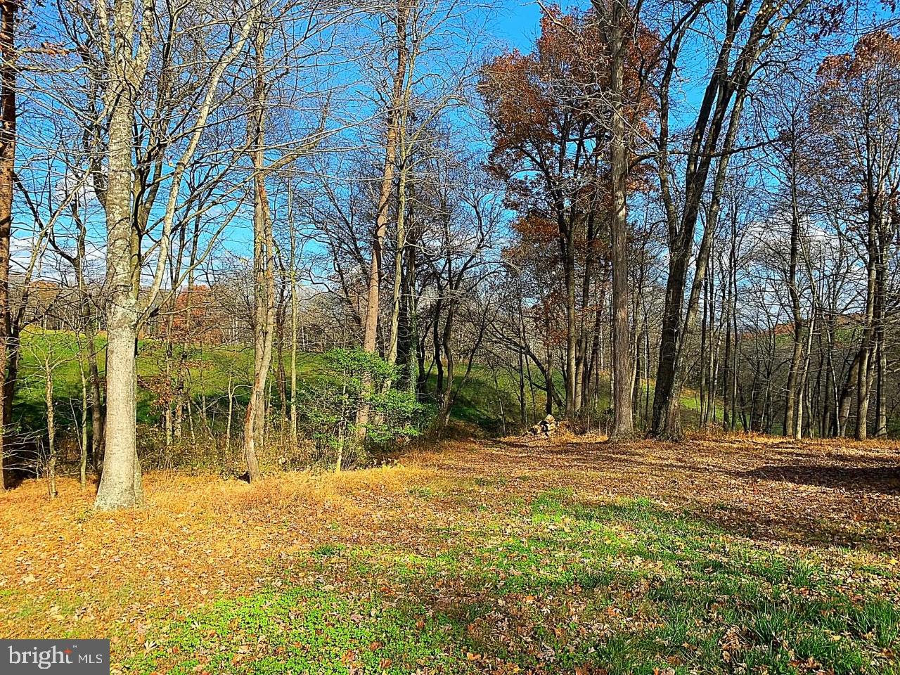 12233 Grindstone Road Boston, VA 22713 - Photo 26 of 26