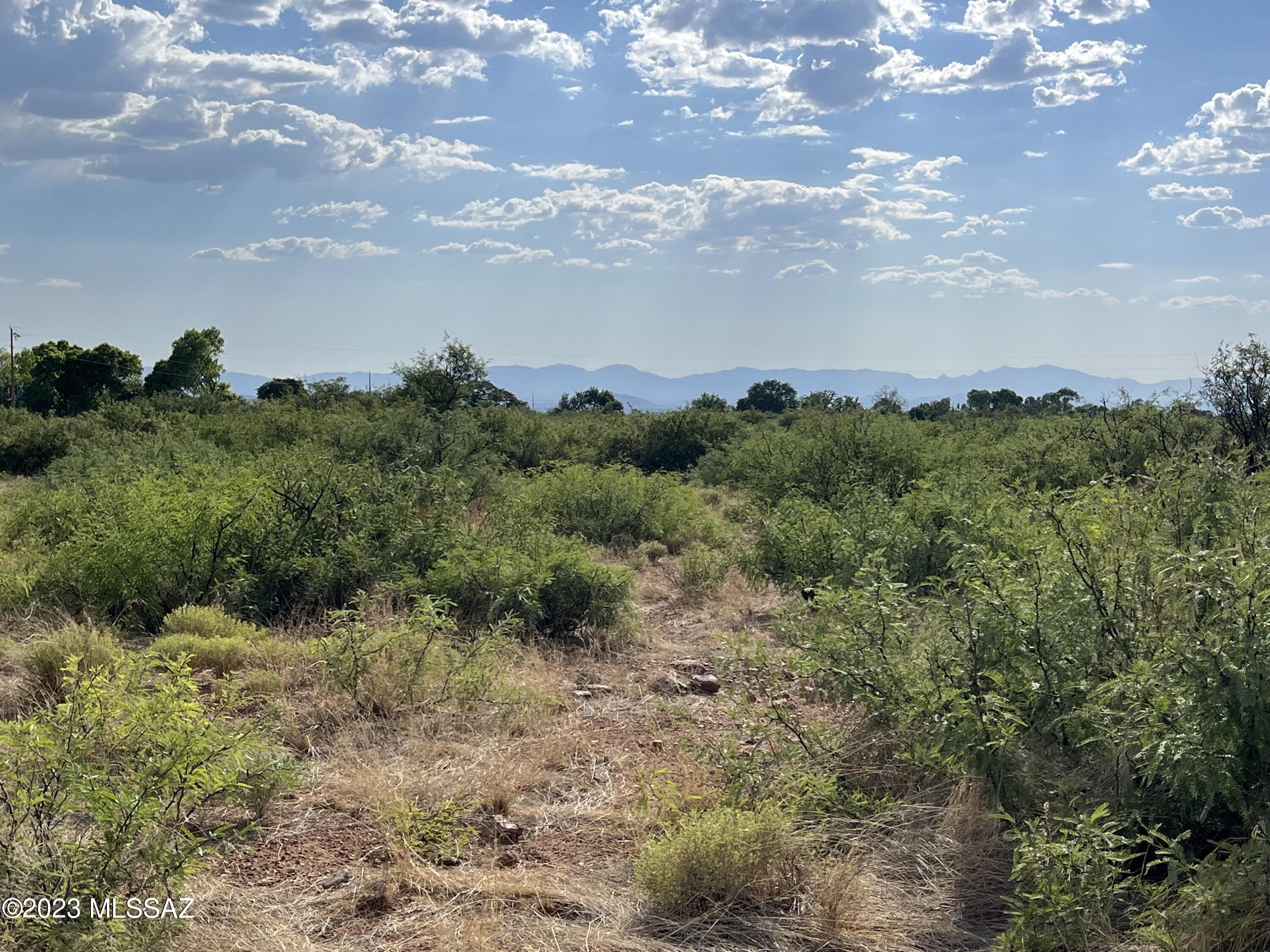 Tbd Turkey Creek Road, Unit 7N Pearce, AZ 85625 - Photo 6 of 10