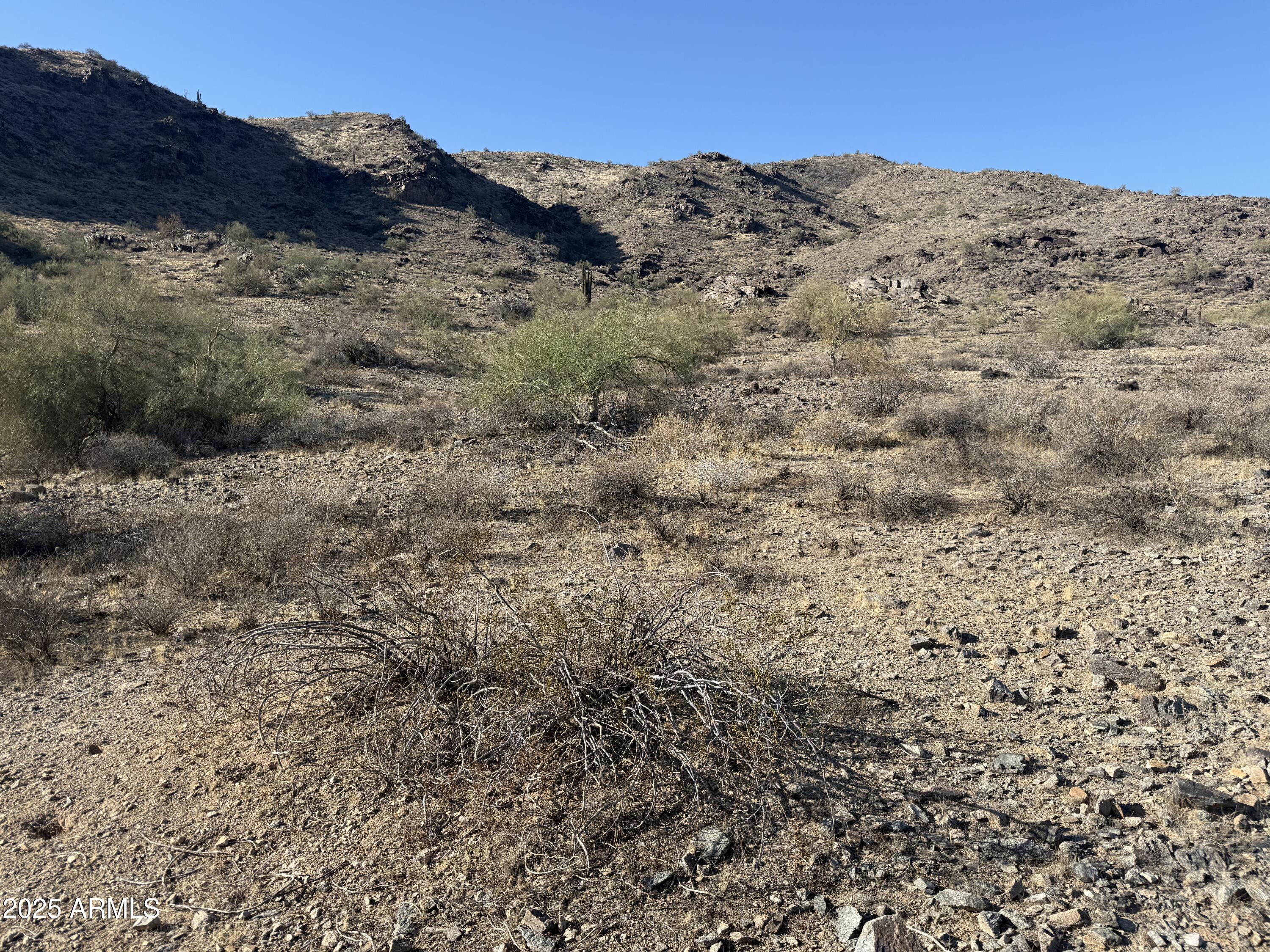 3670 East Highline Canal Road Phoenix, AZ 85042 - Photo 3 of 17 a view of mountains in the distance
