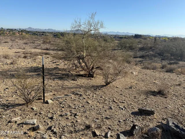 a view of a dry yard with trees