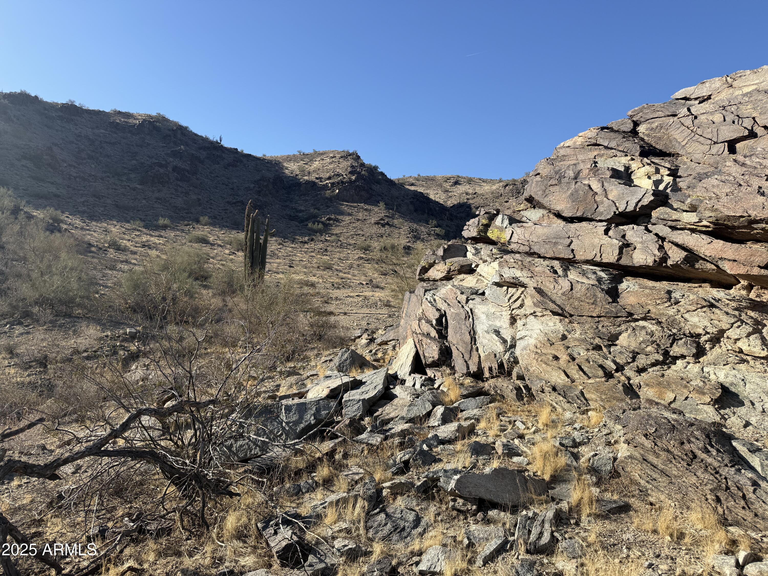 3670 East Highline Canal Road Phoenix, AZ 85042 - Photo 5 of 17 a view of mountain and tree