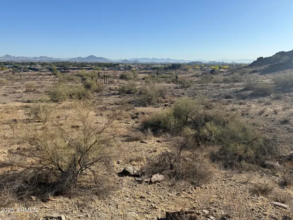 a view of a dry yard with mountains in the background