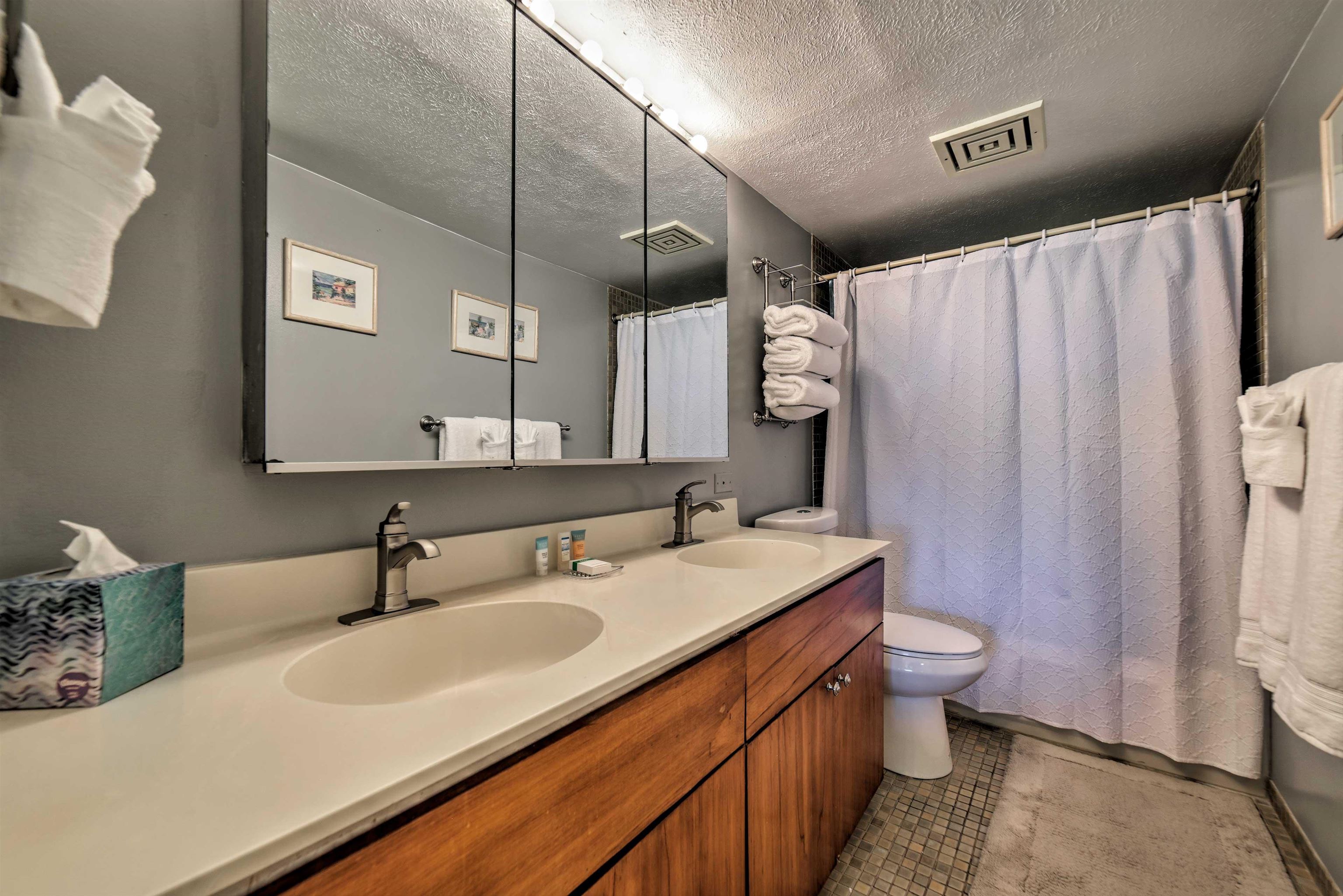 4242 Lower Honoapiilani Road, Unit F207 Lahaina, HI 96761 - Photo 19 of 28