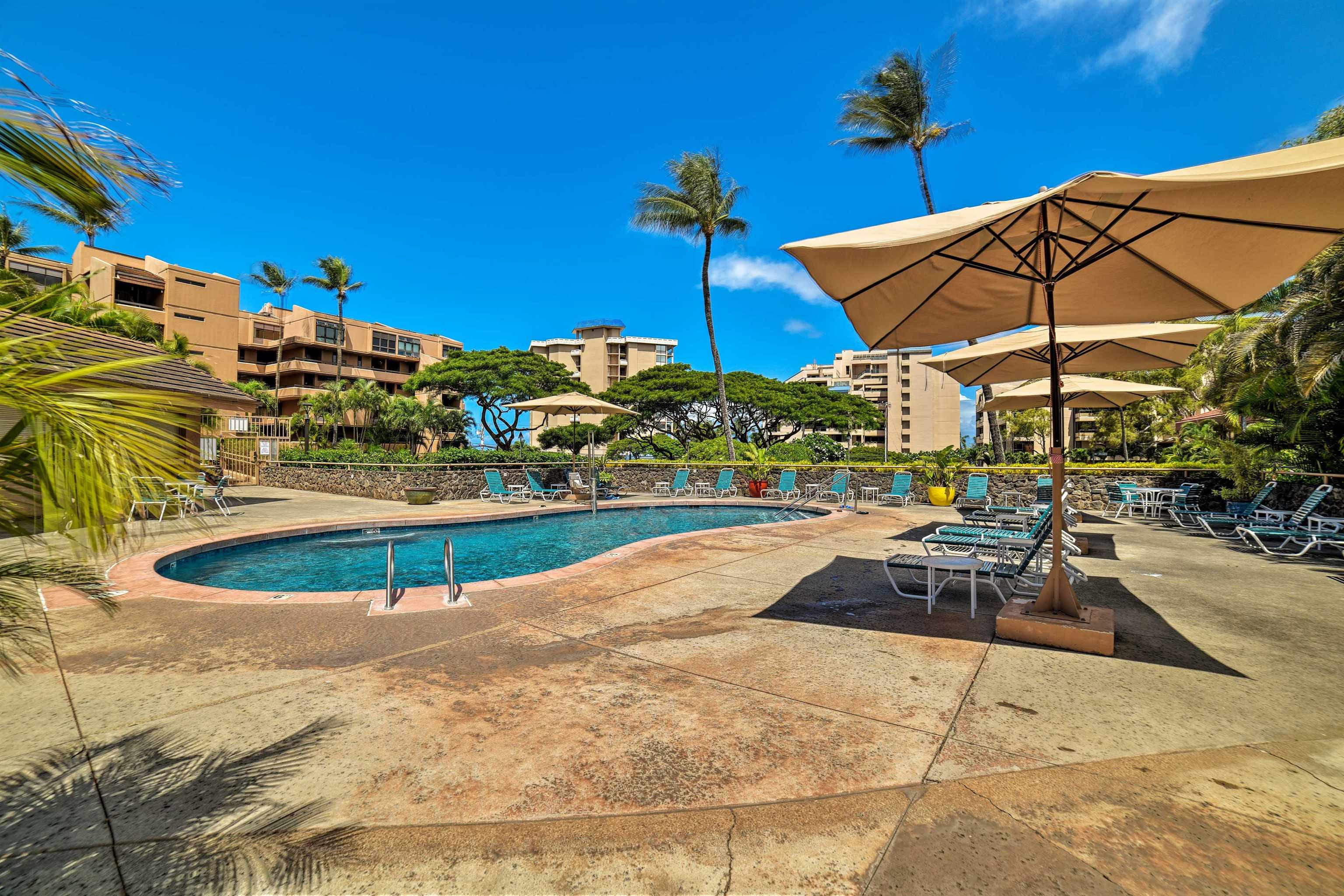 4242 Lower Honoapiilani Road, Unit F207 Lahaina, HI 96761 - Photo 28 of 28