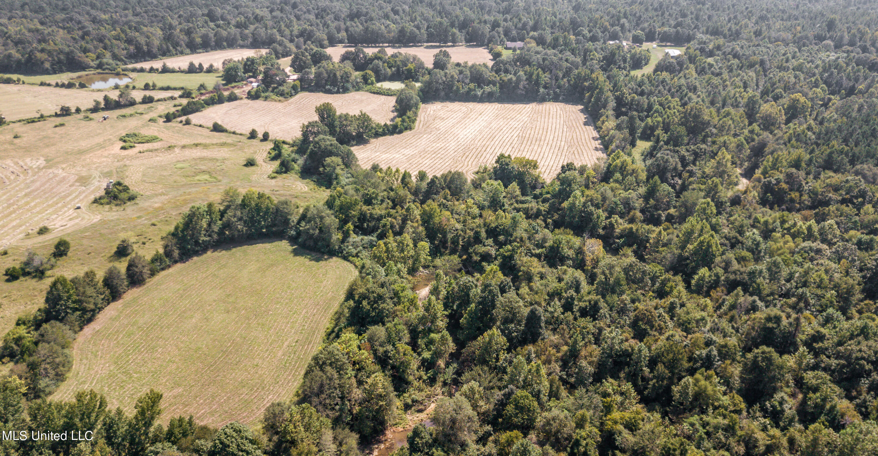 0 Davis Road Benton, MS 39039 - Photo 11 of 35 - 2729 Davis Road Land Drone-37