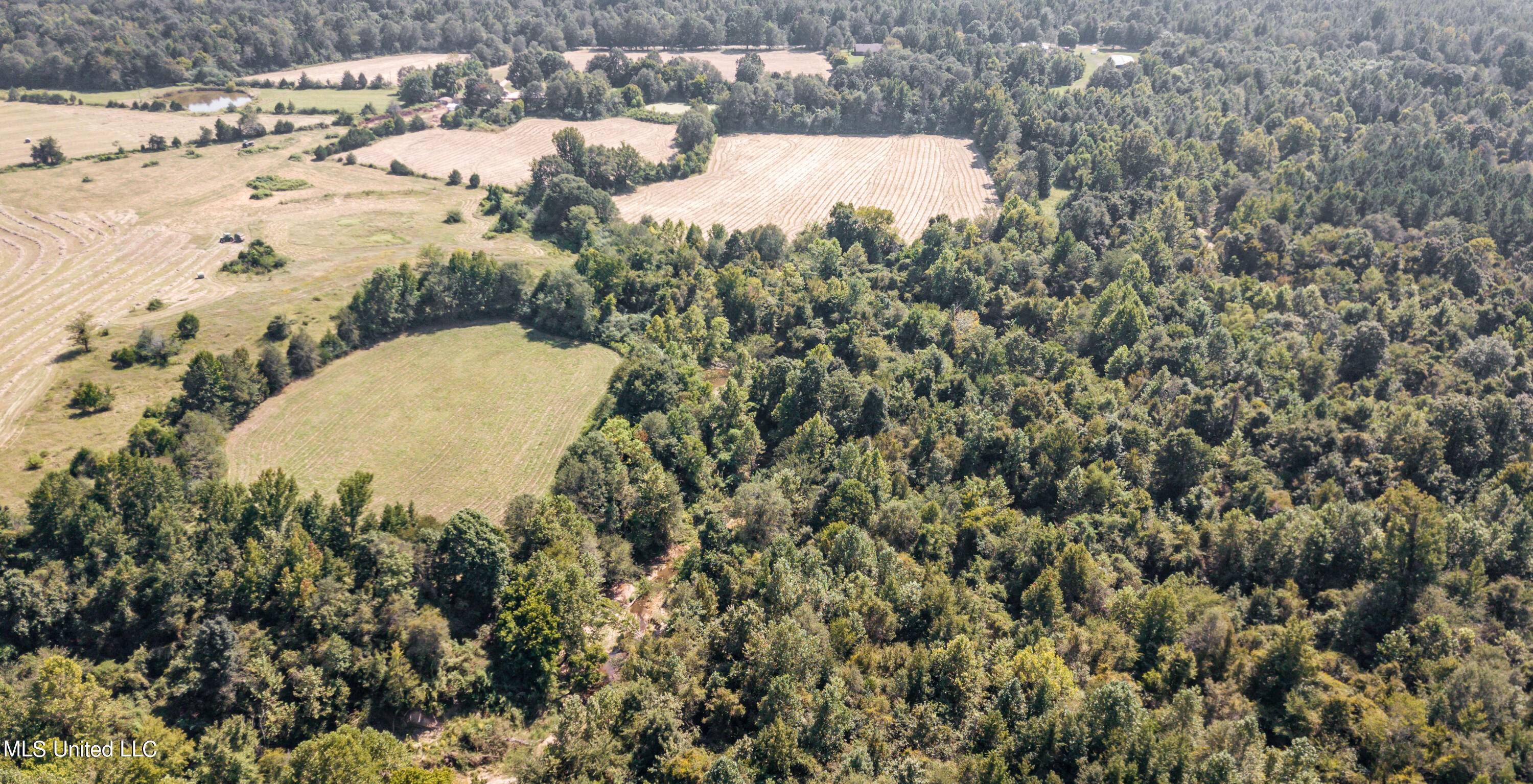 0 Davis Road Benton, MS 39039 - Photo 12 of 35 - 2729 Davis Road Land Drone-38
