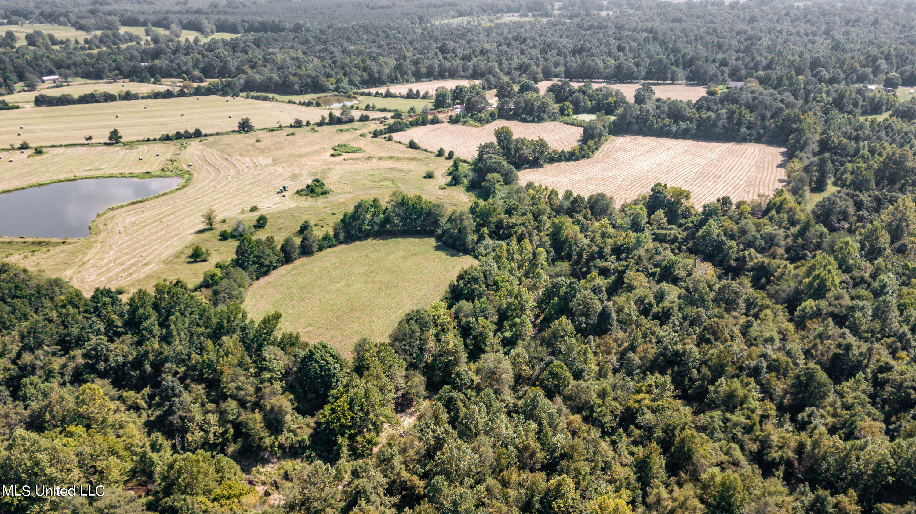 0 Davis Road Benton, MS 39039 - Photo 13 of 35 - 2729 Davis Road Land Drone-39