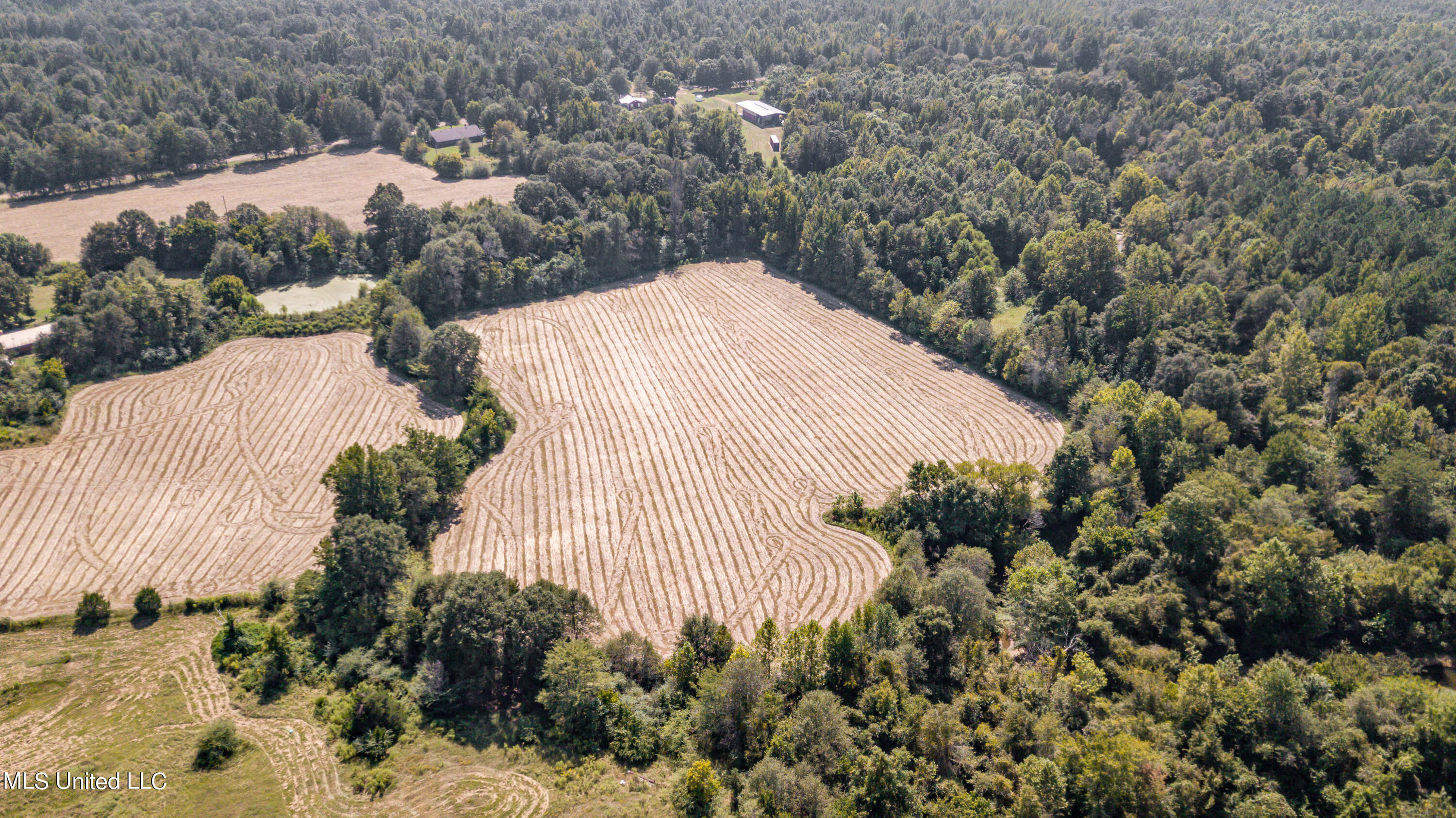 0 Davis Road Benton, MS 39039 - Photo 17 of 35 - 2729 Davis Road Land Drone-44