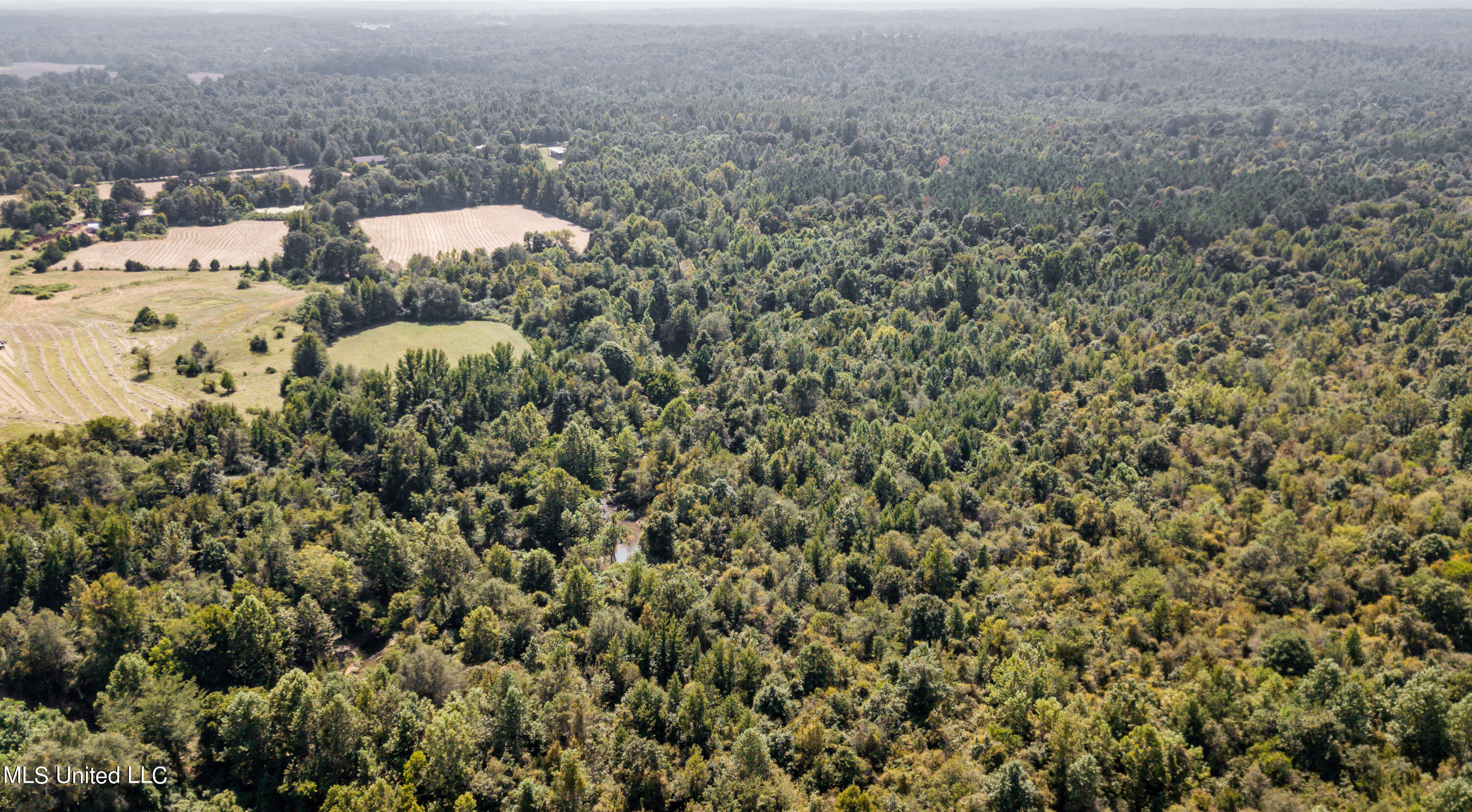 0 Davis Road Benton, MS 39039 - Photo 29 of 35 - 2729 Davis Road Land Drone-9