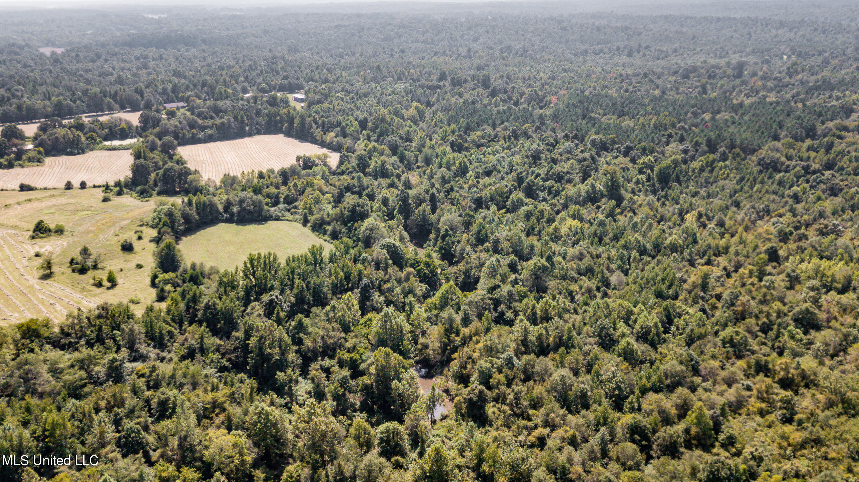 0 Davis Road Benton, MS 39039 - Photo 30 of 35 - 2729 Davis Road Land Drone-10