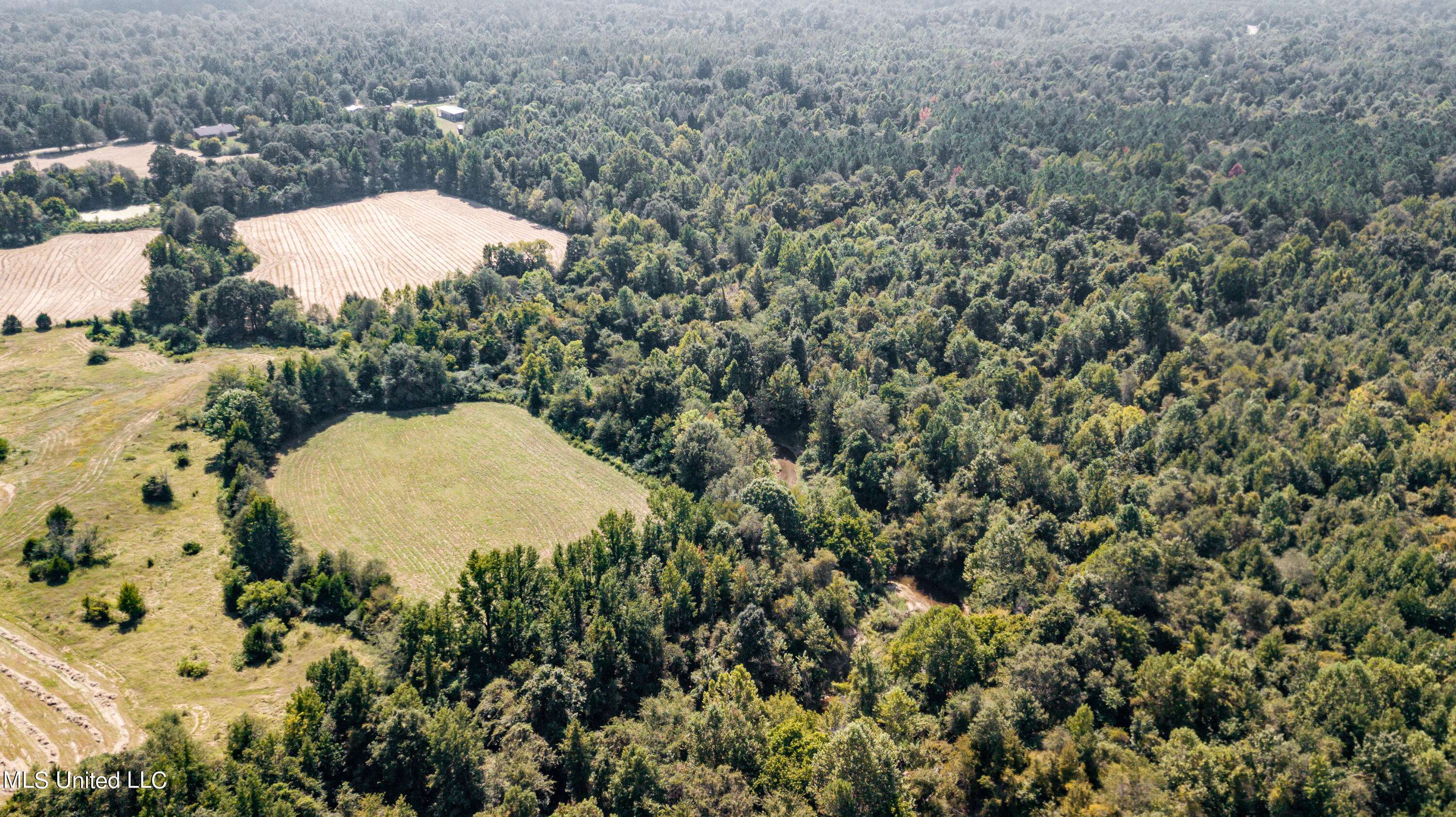 0 Davis Road Benton, MS 39039 - Photo 31 of 35 - 2729 Davis Road Land Drone-13