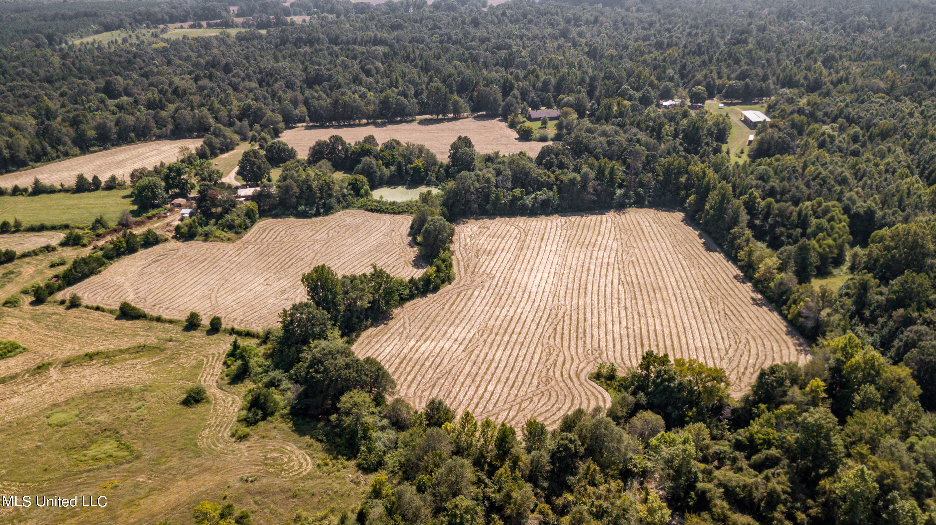 0 Davis Road Benton, MS 39039 - Photo 8 of 35 - 2729 Davis Road Land Drone-15