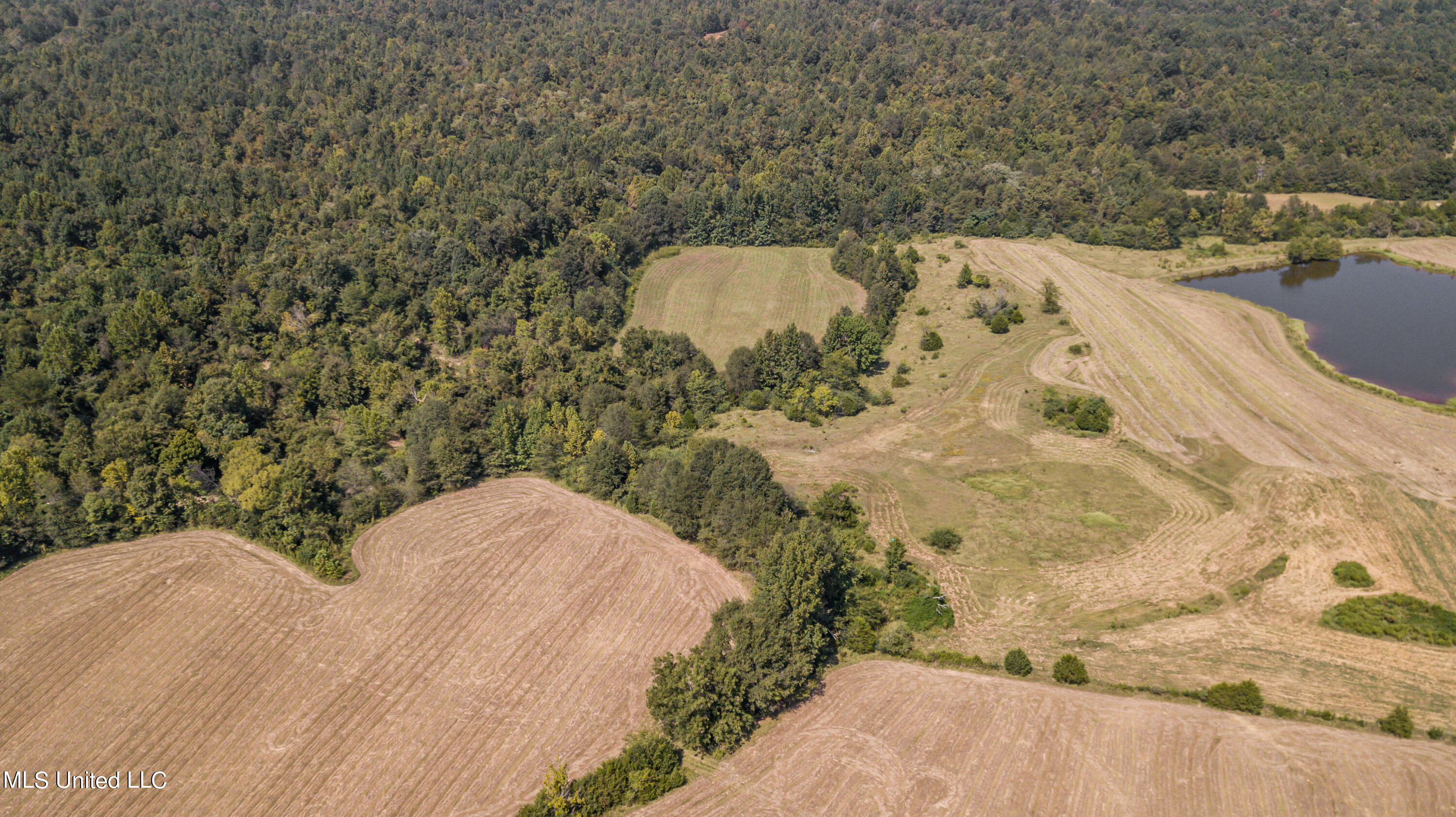 0 Davis Road Benton, MS 39039 - Photo 9 of 35 - 2729 Davis Road Land Drone-21