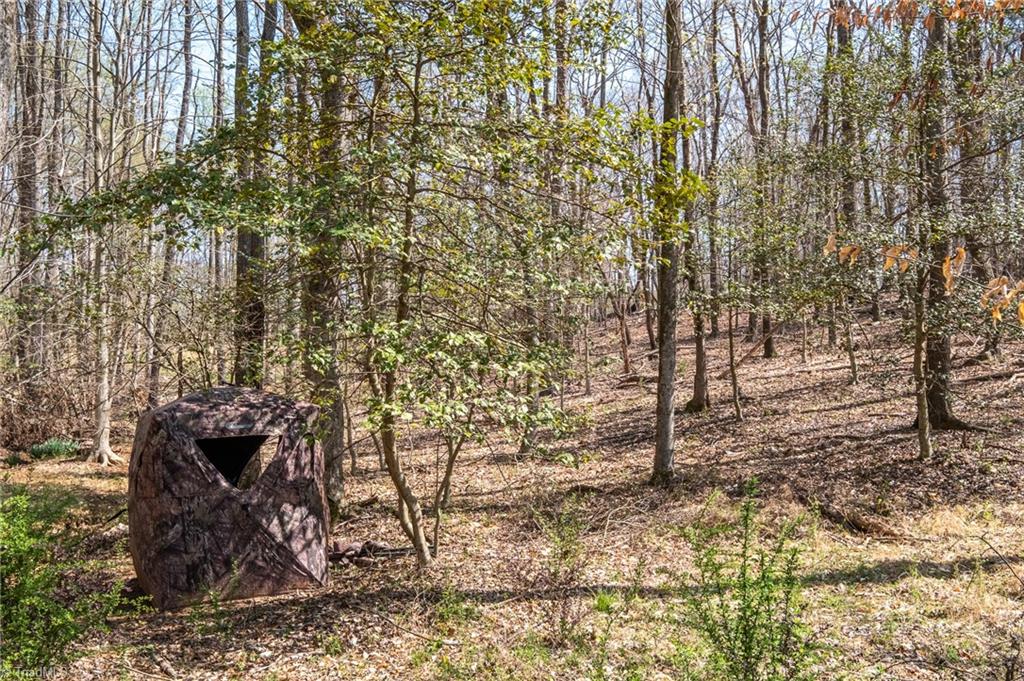 375 Johnson Ridge Road Elkin, NC 28621 - Photo 19 of 45 Gallery Image 19