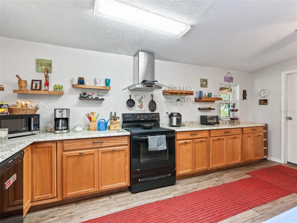 17090 Southeast 173rd Terrace Road Weirsdale, FL 32195 - Photo 14 of 54 a kitchen with stainless steel appliances granite countertop a stove and cabinets