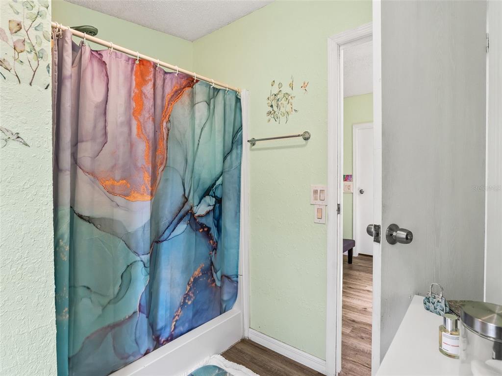 17090 Southeast 173rd Terrace Road Weirsdale, FL 32195 - Photo 20 of 54 a bathroom with a shower and a curtain