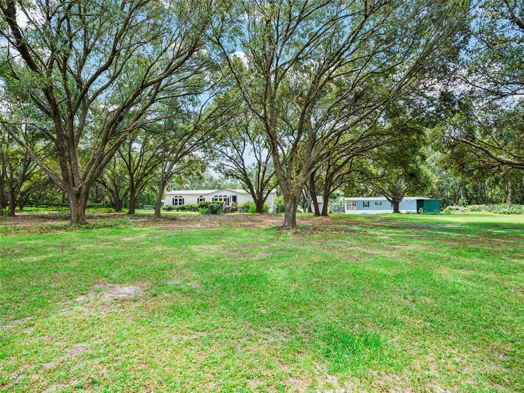 17090 Southeast 173rd Terrace Road Weirsdale, FL 32195 - Photo 2 of 54 a huge green field with lots of trees