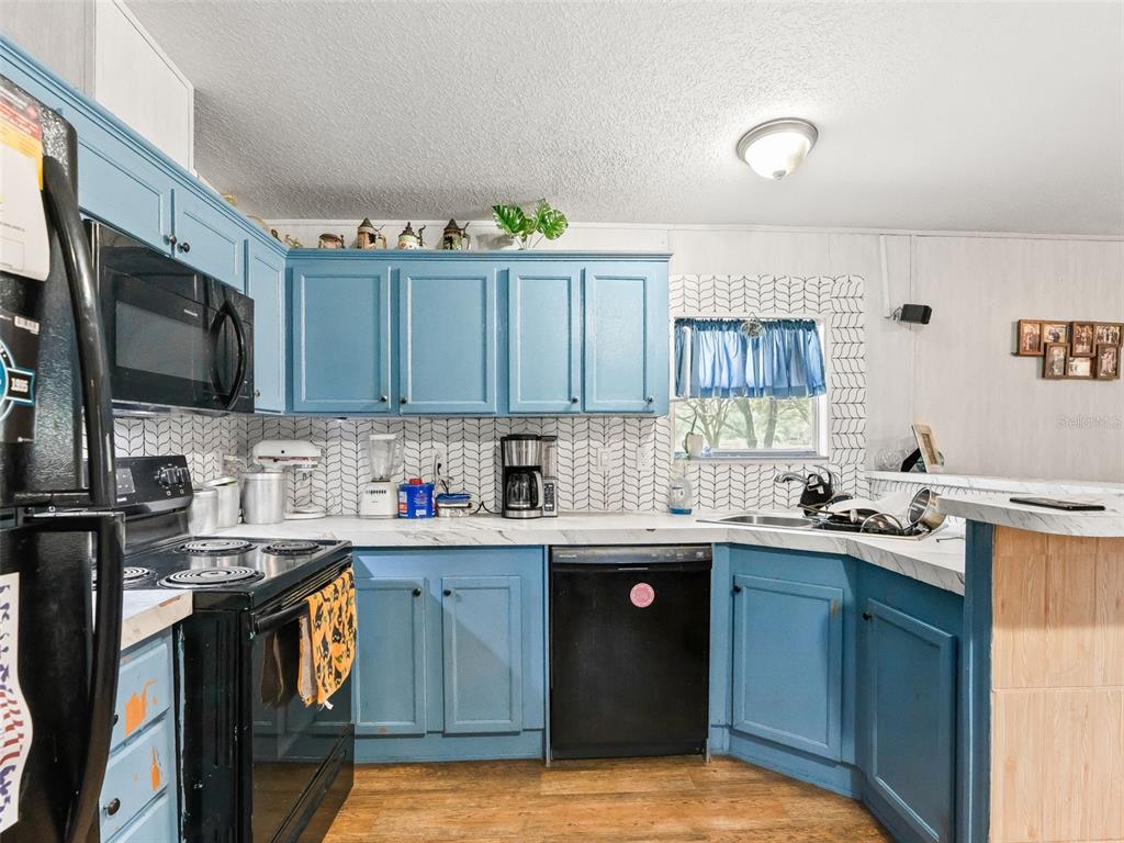 17090 Southeast 173rd Terrace Road Weirsdale, FL 32195 - Photo 32 of 54 a kitchen with stainless steel appliances granite countertop a sink stove and cabinets