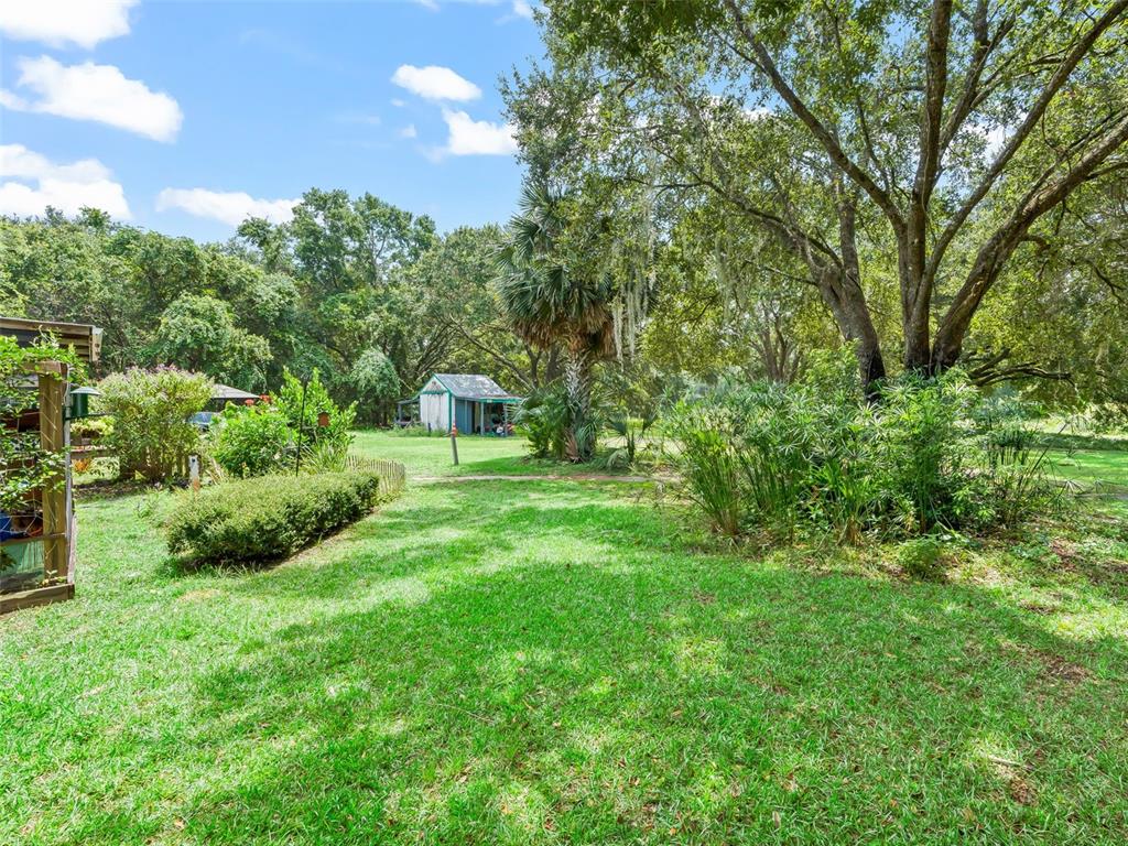 17090 Southeast 173rd Terrace Road Weirsdale, FL 32195 - Photo 43 of 54 a view of a garden with large trees