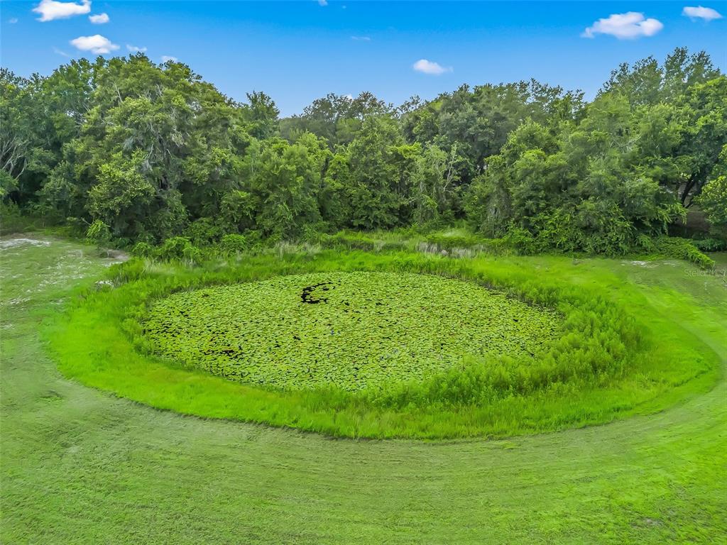 17090 Southeast 173rd Terrace Road Weirsdale, FL 32195 - Photo 47 of 54 a view of a grassy area with an trees