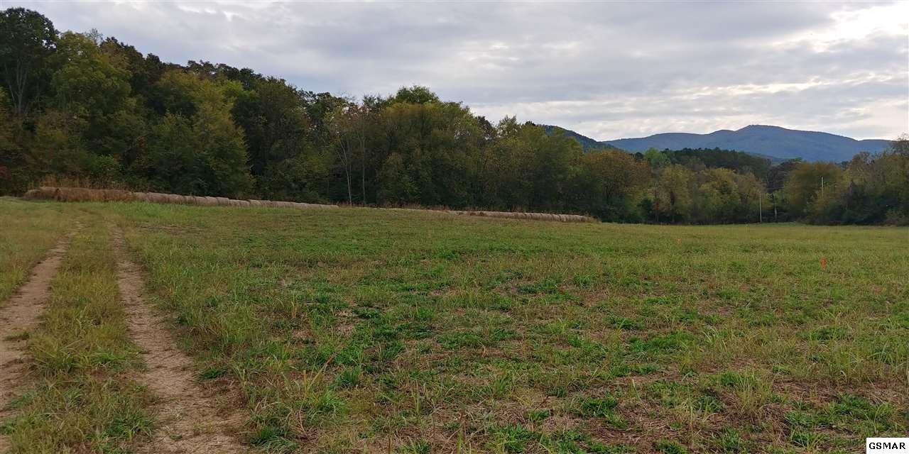 795 Pack Way Newport, TN 37821 - Photo 3 of 4 Gallery Image 3