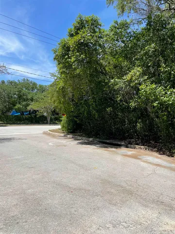 a view of backyard with green space