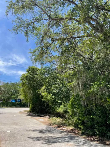 a view of bushes and pathway