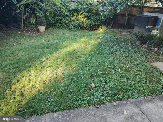 a view of a trees with a yard