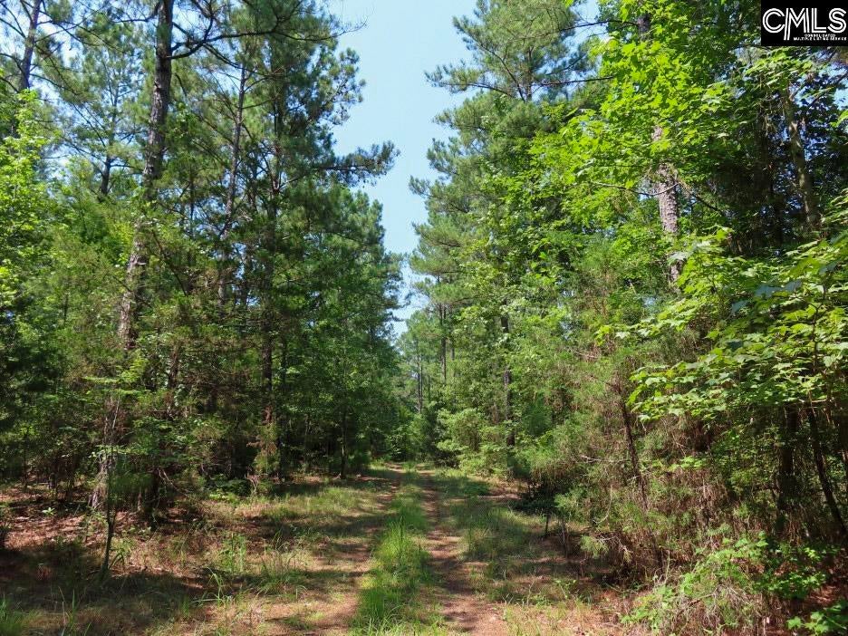 0 Landis Road Winnsboro, SC 29180 - Photo 25 of 83 Gallery Image 25