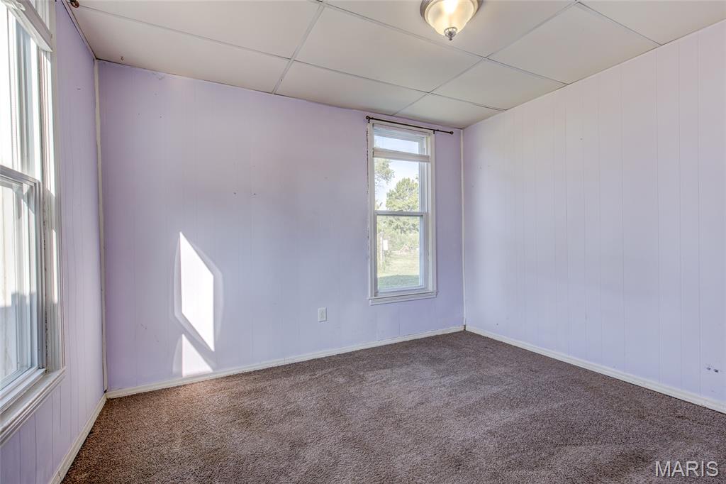 1008 Locust Carrollton, IL 62016 - Photo 10 of 31