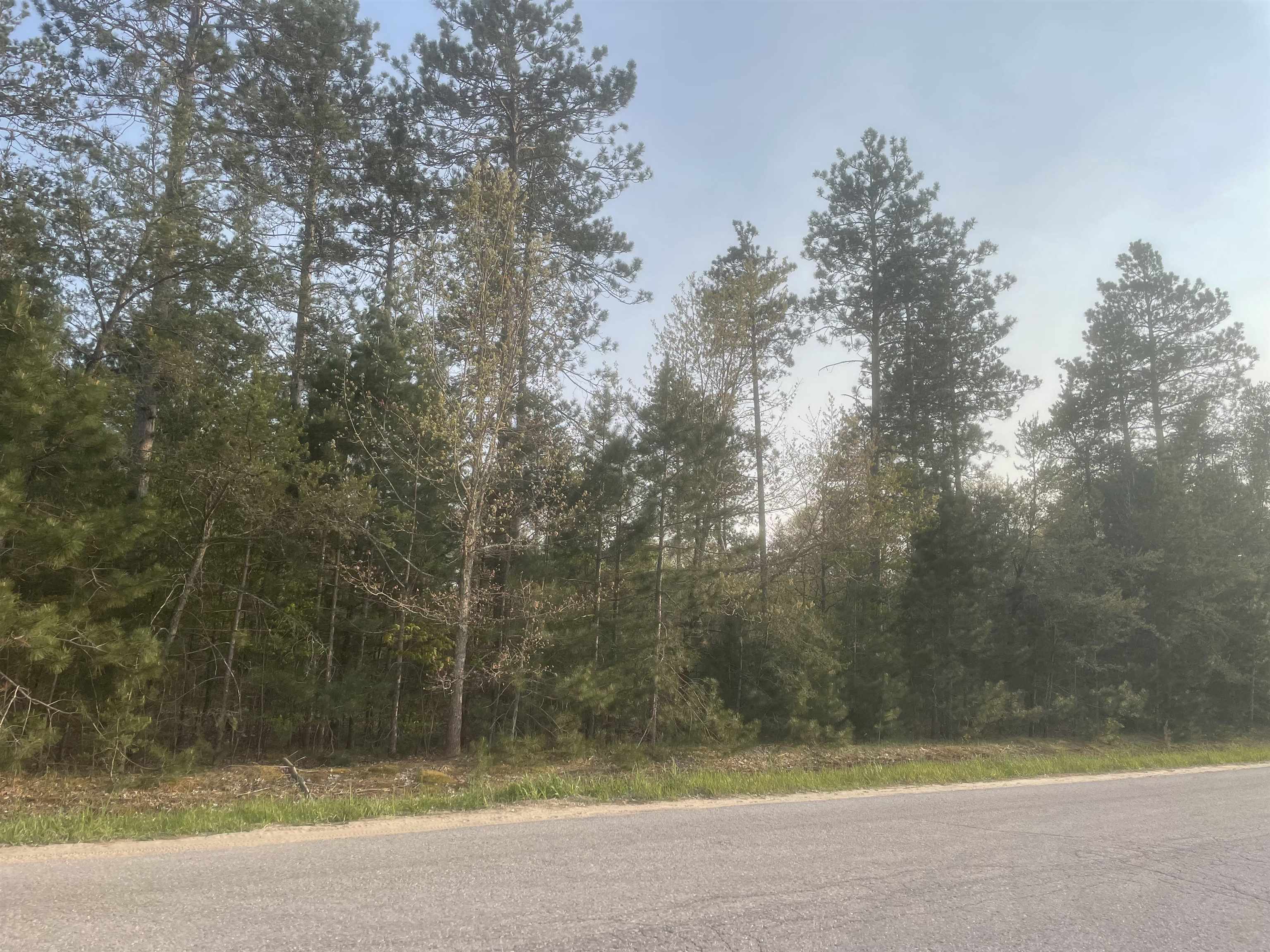 Lot G Lot G Riley, Unit LOT: G Interlochen, MI 49643 - Photo 1 of 10