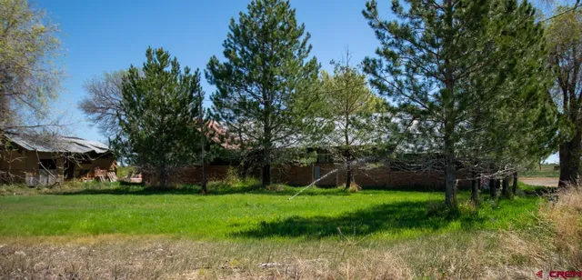 a view of outdoor space with garden and trees