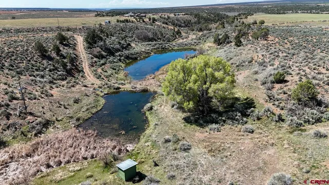 a view of a yard with wooden fence