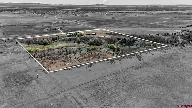 a close up of a shower