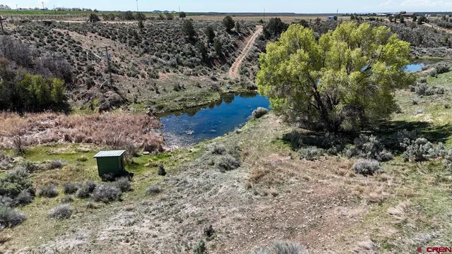a view of a lake in middle of the forest