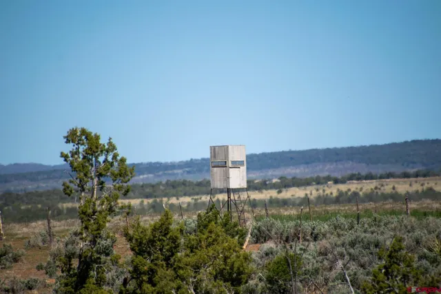 $990,000 | 793 County Road 104, Hesperus, CO 81326