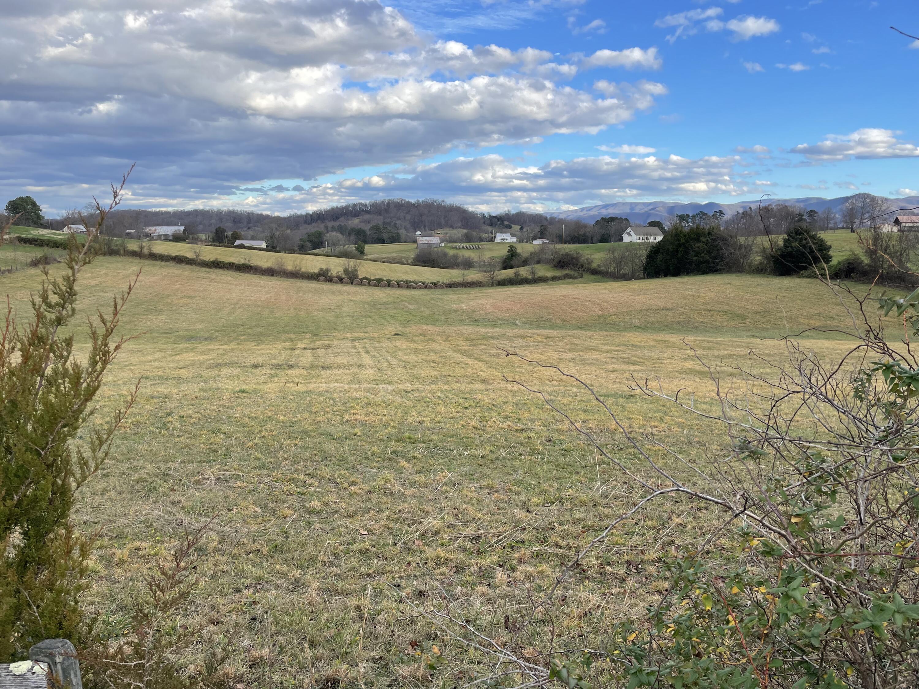 Tbd Stockton Road Chuckey, TN 37641 - Photo 3 of 5 CEEB1366-8923-4261-B909-274469B74F05
