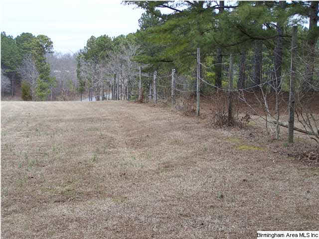 1194 Robin Hill Road Oneonta, AL 35121 - Photo 15 of 29 Gallery Image 15