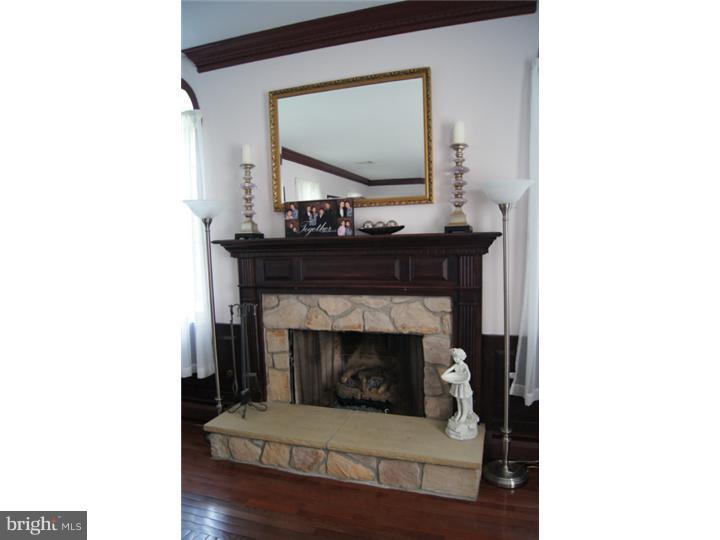250 Leopard Road Berwyn, PA 19312 - Photo 13 of 24 Fireplace