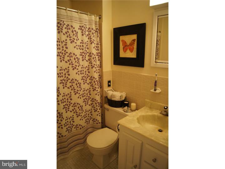250 Leopard Road Berwyn, PA 19312 - Photo 17 of 24 Bathroom